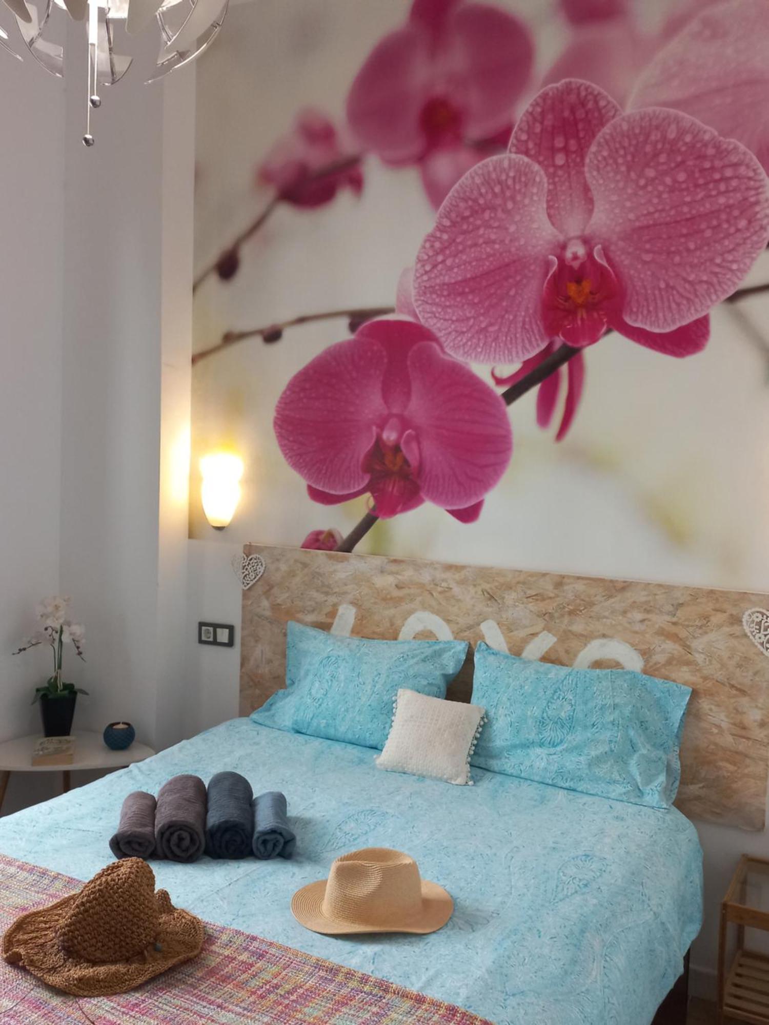 Jinetes Apartament *